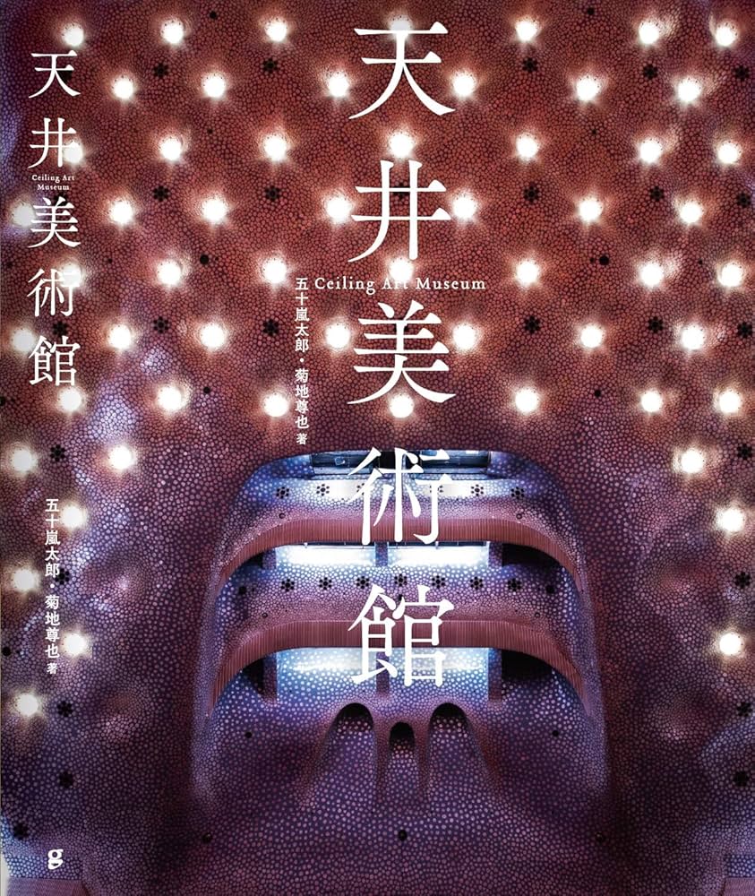 天井美術館 | 五十嵐 太郎, 菊地 尊也 |本 | 通販 | Amazon